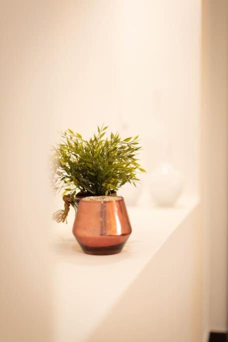 Mc Apartment San Giovanni ローマ エクステリア 写真
